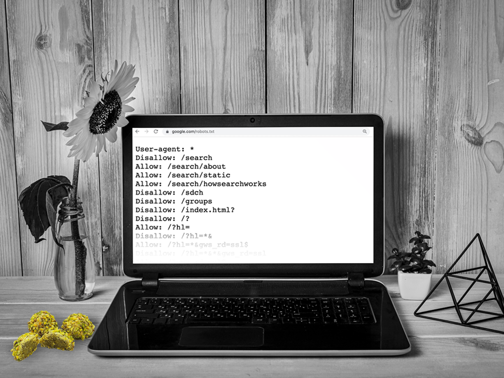 Guida al file Robots.txt: creazione e utilizzo del file per la SEO